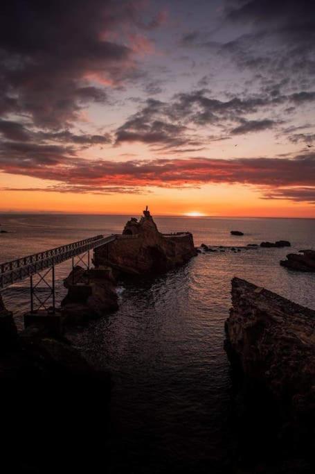 Magnifique T3 - Grande Plage Biarritz Esterno foto